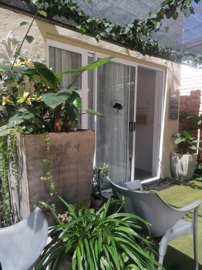 The Oak Treehouse Bnb Queenstown Exterior photo